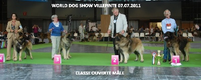 Du Clos Des Papes - world dog show villepinte 2011