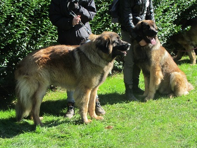 Du Clos Des Papes - 50 ans de Cluny...Hiram et Harley