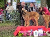  - 50 ans de Cluny...Ilka Iloa